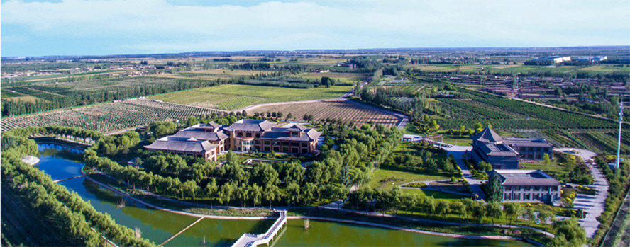 寧夏恒生西夏王酒業(yè)貿(mào)易有限公司