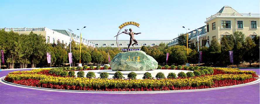 寧夏恒生西夏王酒業(yè)貿(mào)易有限公司