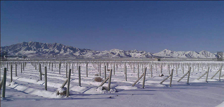     с(li)Ͼf@Ѿ޹˾a(chn)Ʒ