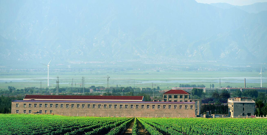     с(li)Ͼf@Ѿ޹˾a(chn)ƷС