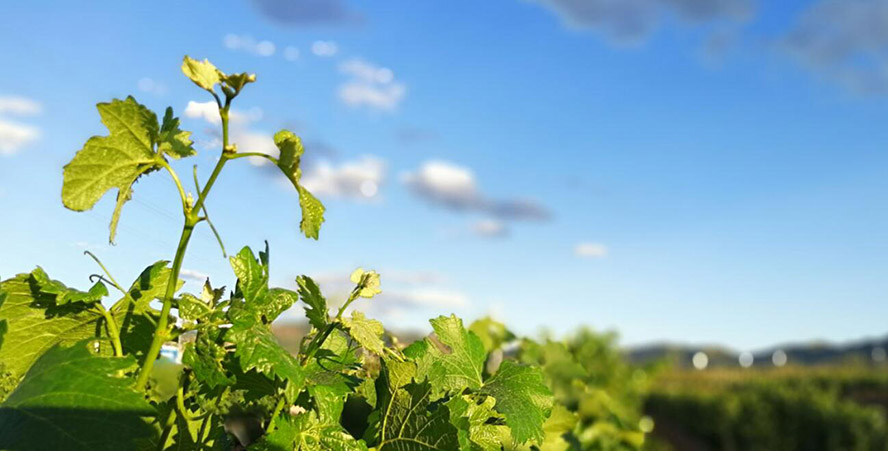     с(li)Ͼf@Ѿ޹˾a(chn)ƷС