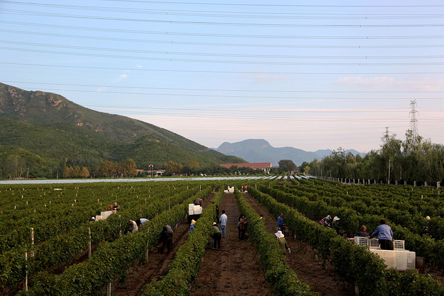     ѾƘI(y)޹˾aƷС