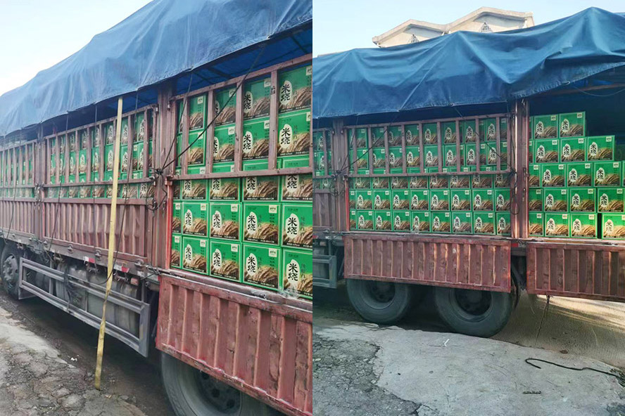 ̶оǧ̶r(nng)I(y)Ƽ޹˾