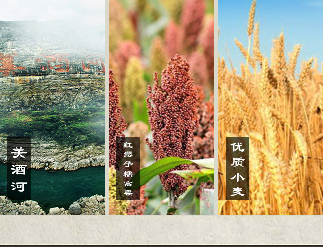 妙飲醬酒 醬香型【53° 500ml】