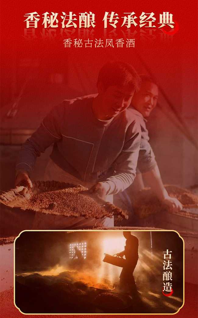 鳳香大曲酒500ml 45°鳳香型