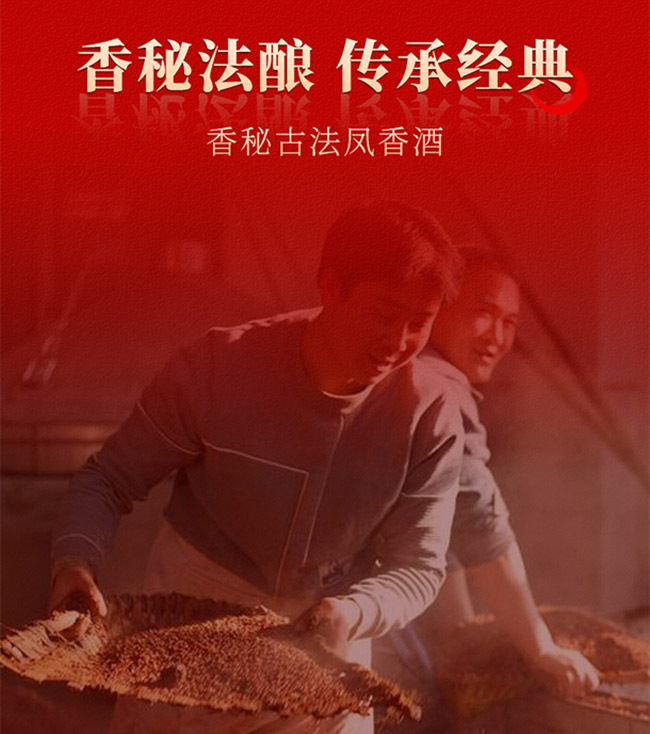 鳳香大曲酒500ml 52°鳳香型